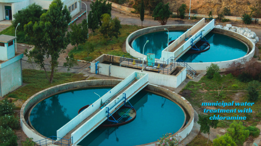 municipal water treatment with chloramine