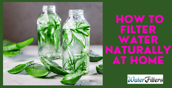 how to filter water naturally