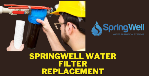 Springwell Water Filter Replacement: Complete Guide
