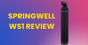 springwell ws1 review