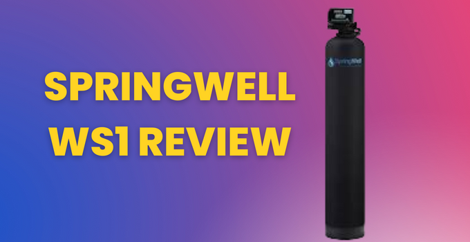 springwell ws1 review